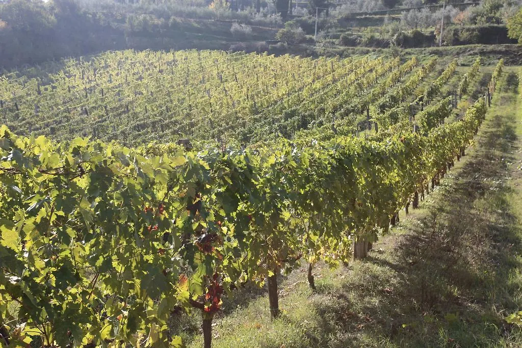 Azienda Agraria La Casella Montalcino