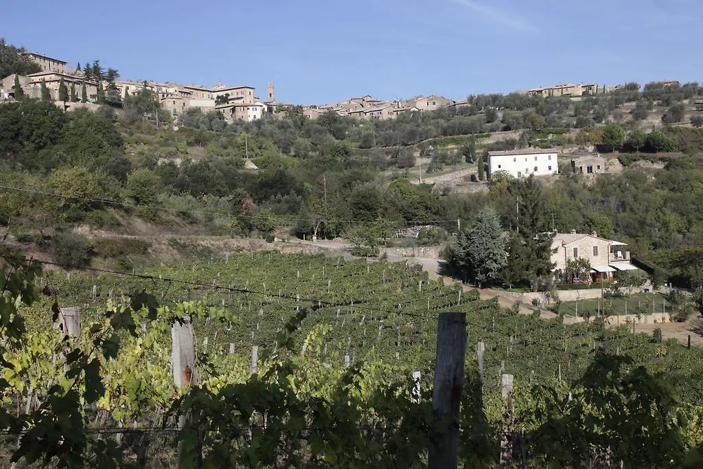 Azienda Agraria La Casella Montalcino