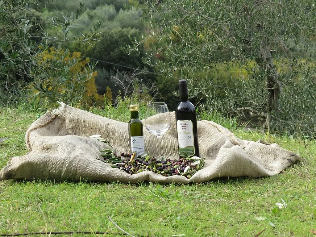 Azienda Agraria La Casella Montalcino Italien