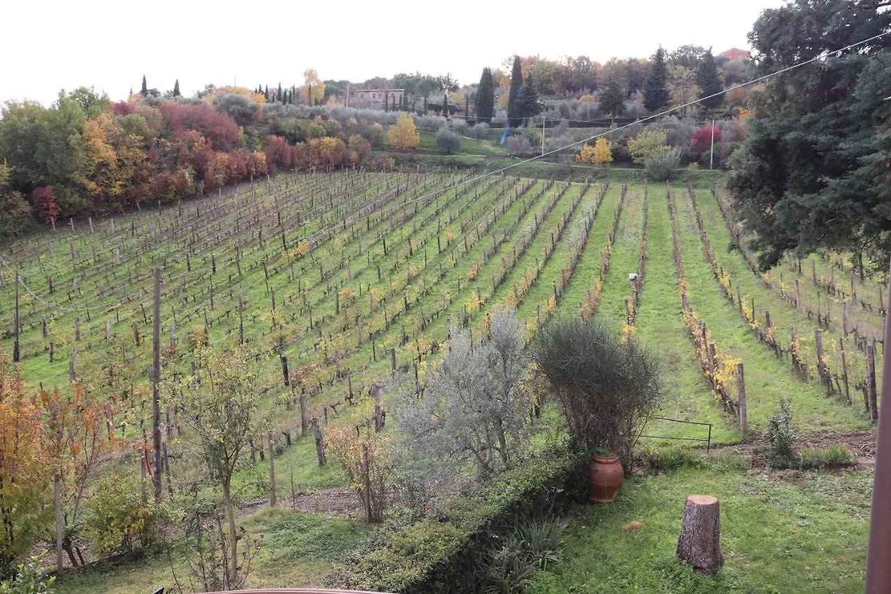 Azienda Agraria La Casella Montalcino